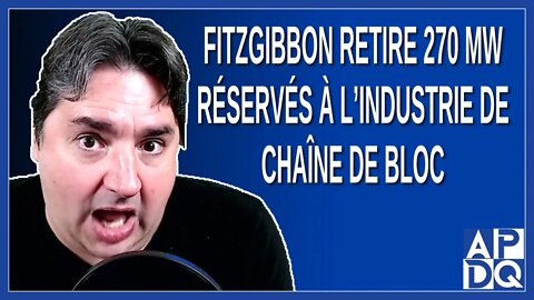 Fitzgibbon retire 270 MW réservés à l'industrie de chaîne de bloc