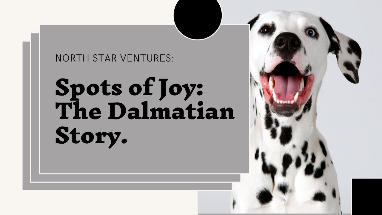 Spots of Joy: The Dalmatian Story