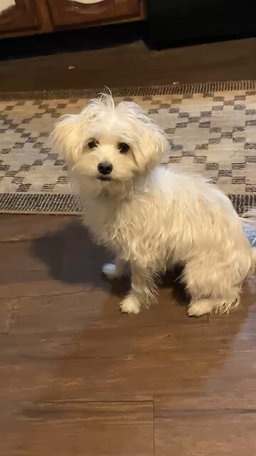 Finding Peace: Philippians 4:6-9 Encouragement, do not be anxious. Prayer with thanksgiving To Jesus