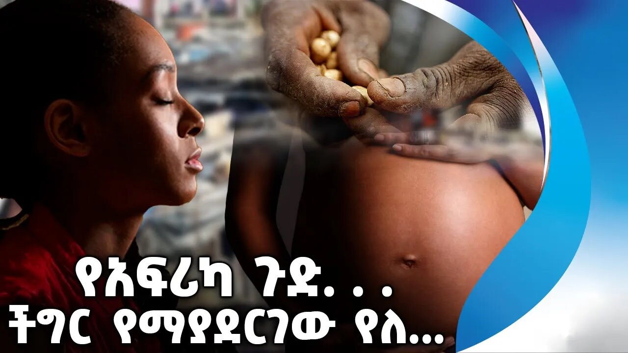 የአፍሪካ ጉድ. . . | ችግር የማያደርገው የለ... | Africa | Kenya | Embryo Market | Poverty