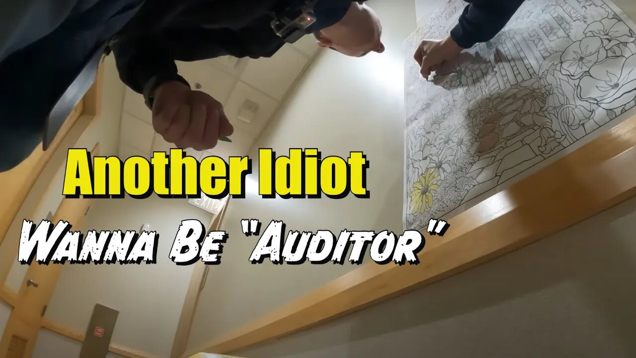 Another Wanna Be Idiot Auditor