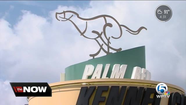 Greyhound dog racing debate heating up
