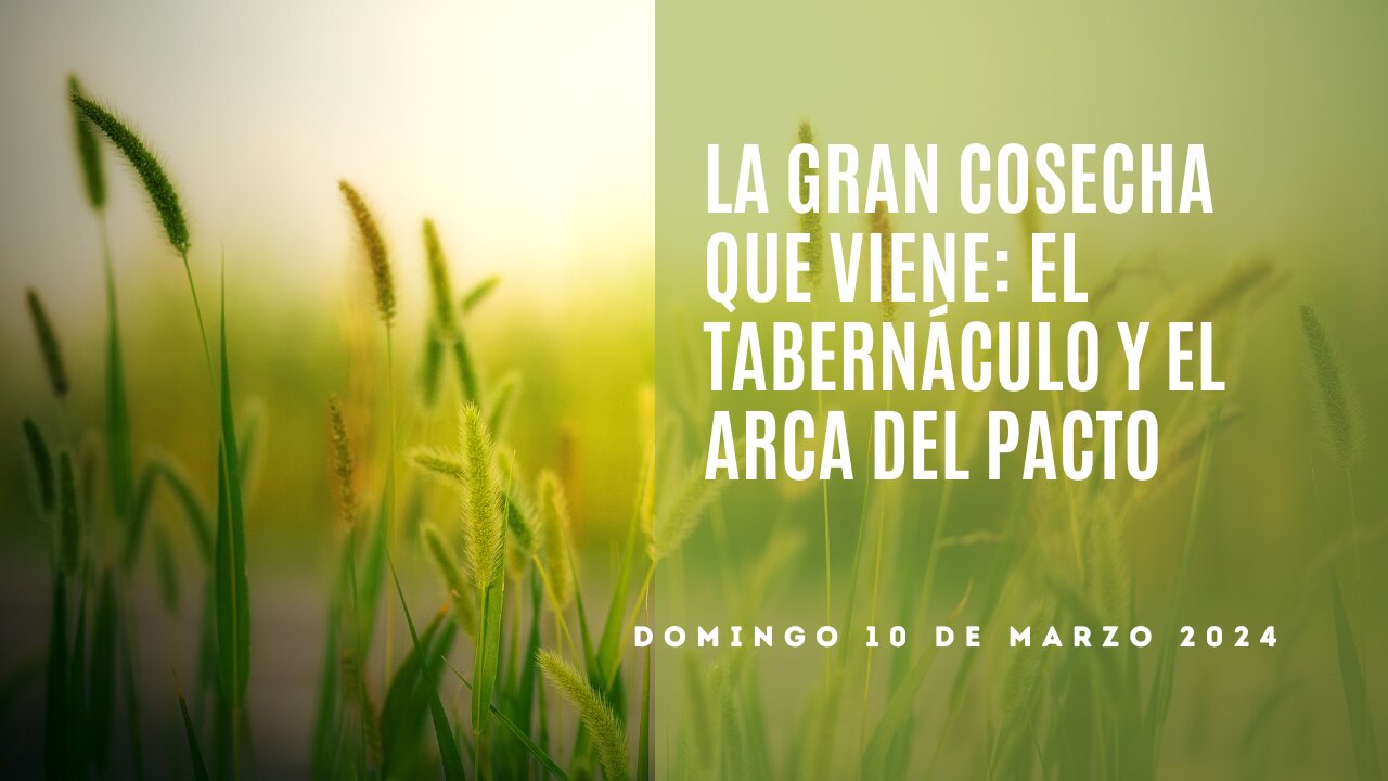La gran cosecha que viene: El TabernĂ¡culo y el Arca del Pacto - Domingo 10 de Marzo 2024