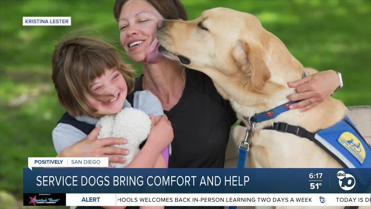 Positively San Diego: Service dogs bring comfort and help