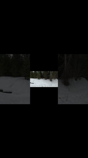 On a Hike and came across a Deer. Memorized by my Hike Pole.