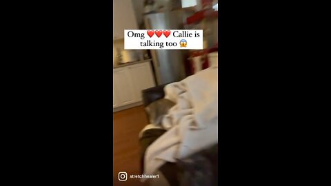 OMG!! CALLIE! ❤️❤️❤️😱😱 TALKING TOO ❤️🥰