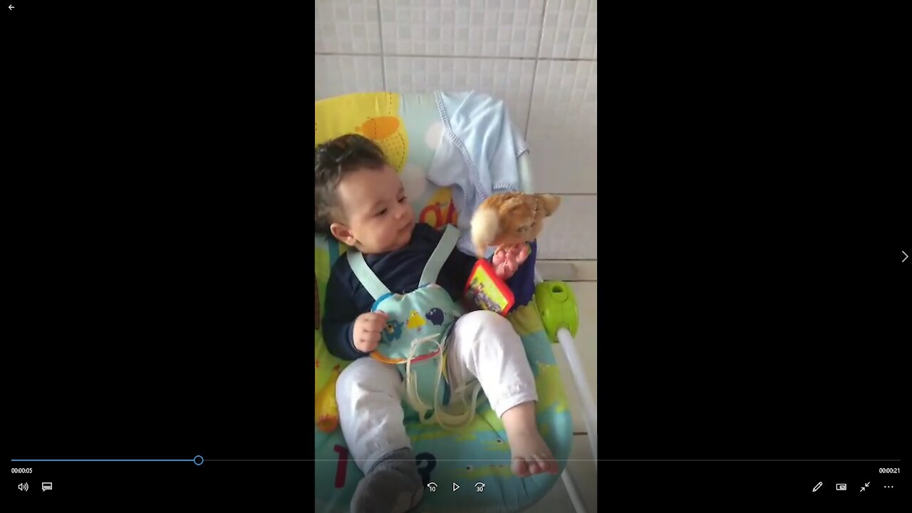 A REAÇÃO DO BABY AO CHEGAR PERTO DO PINTINHO