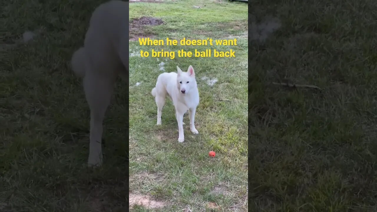When he doesn’t want to bring the ball back.