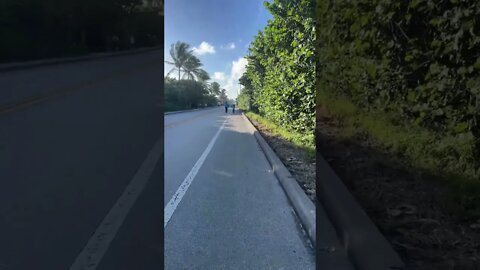 Zoe Loren 5k Florida.