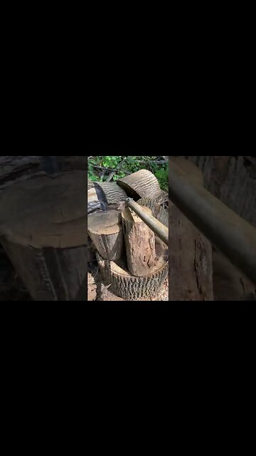 Every homestead needs this tool pickaroon