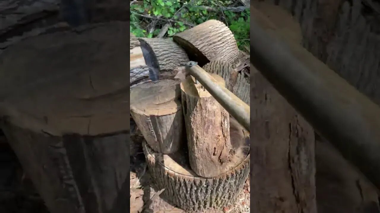 Every homestead needs this tool pickaroon