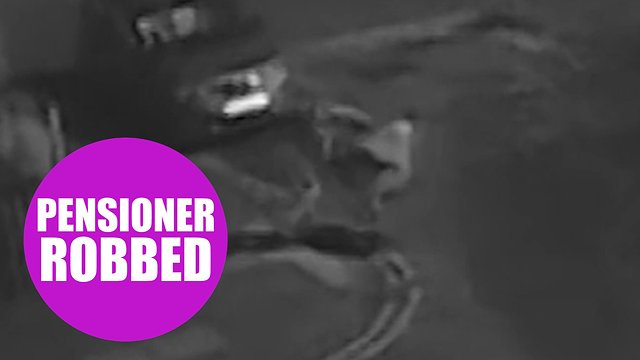 OAP is shoved to the floor by a robber who steals her handbag