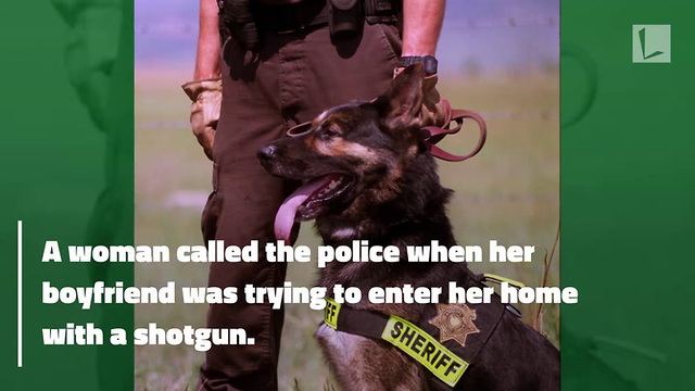 Watch: Hero K9 Officer Snatches Loaded Shotgun Away From Suspect's Hand