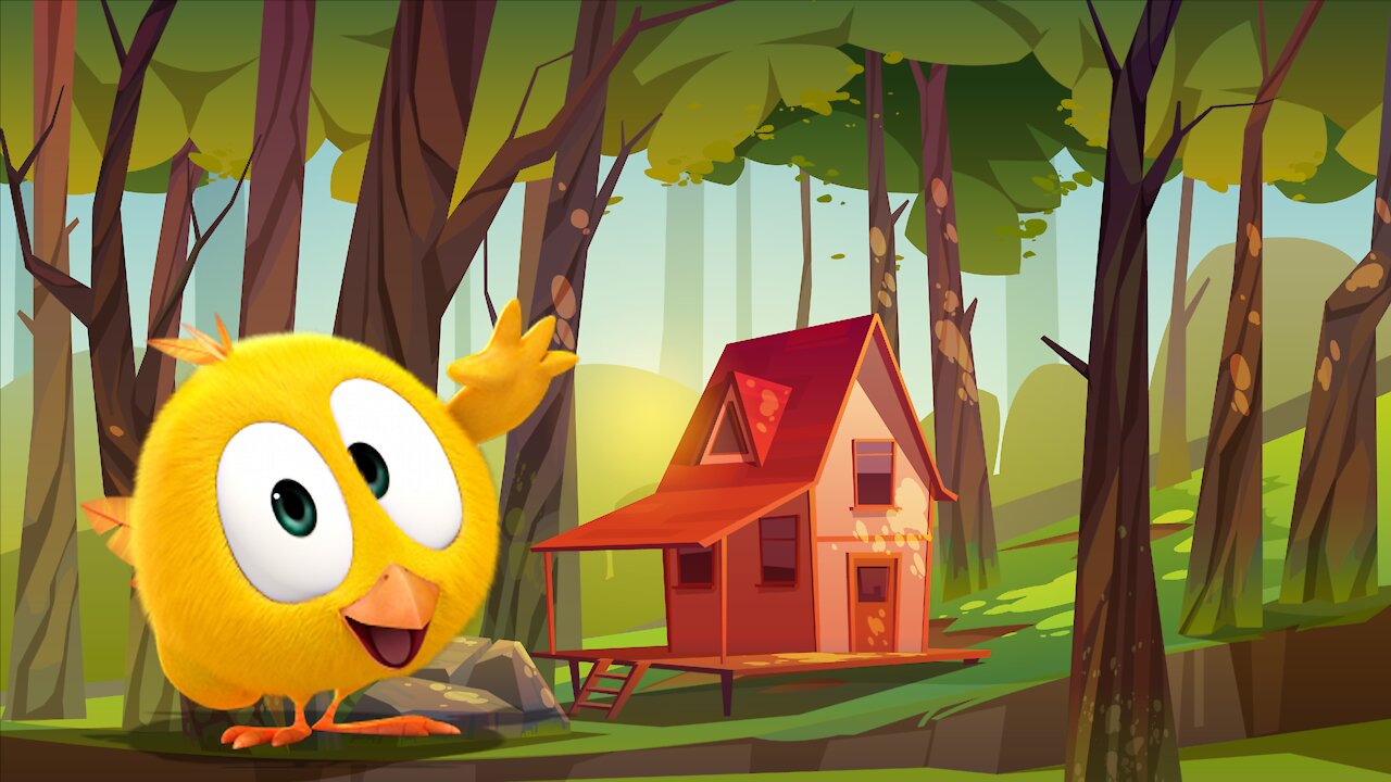 Koki is Funny Chicky With Discovering The World Kids