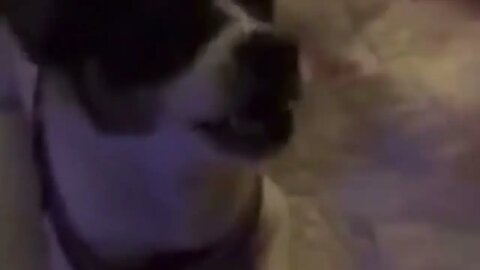 ASMR: Playing With Siller