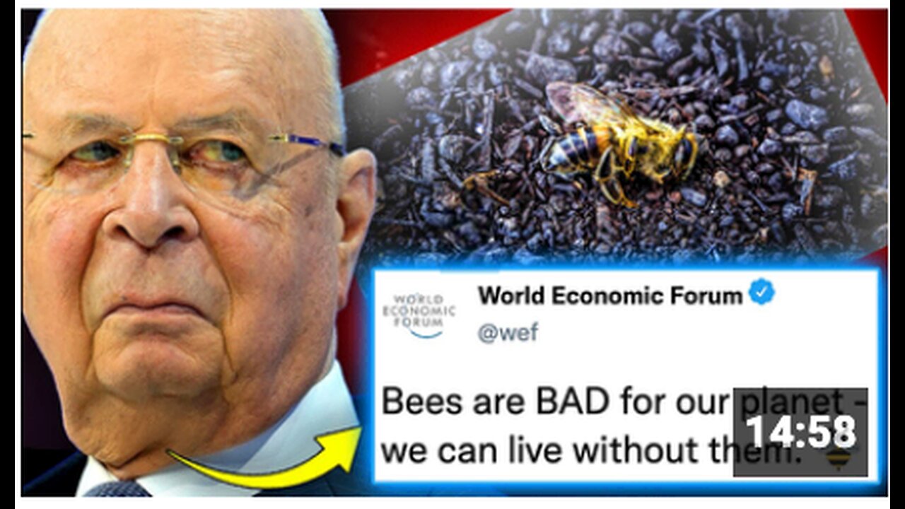 WEF Orders Govt's To Burn Millions of Bees To Usher In 'Global Famine'