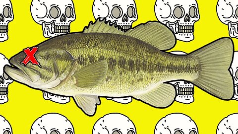 WHAT ACTUALLY KILLS BASS?!?