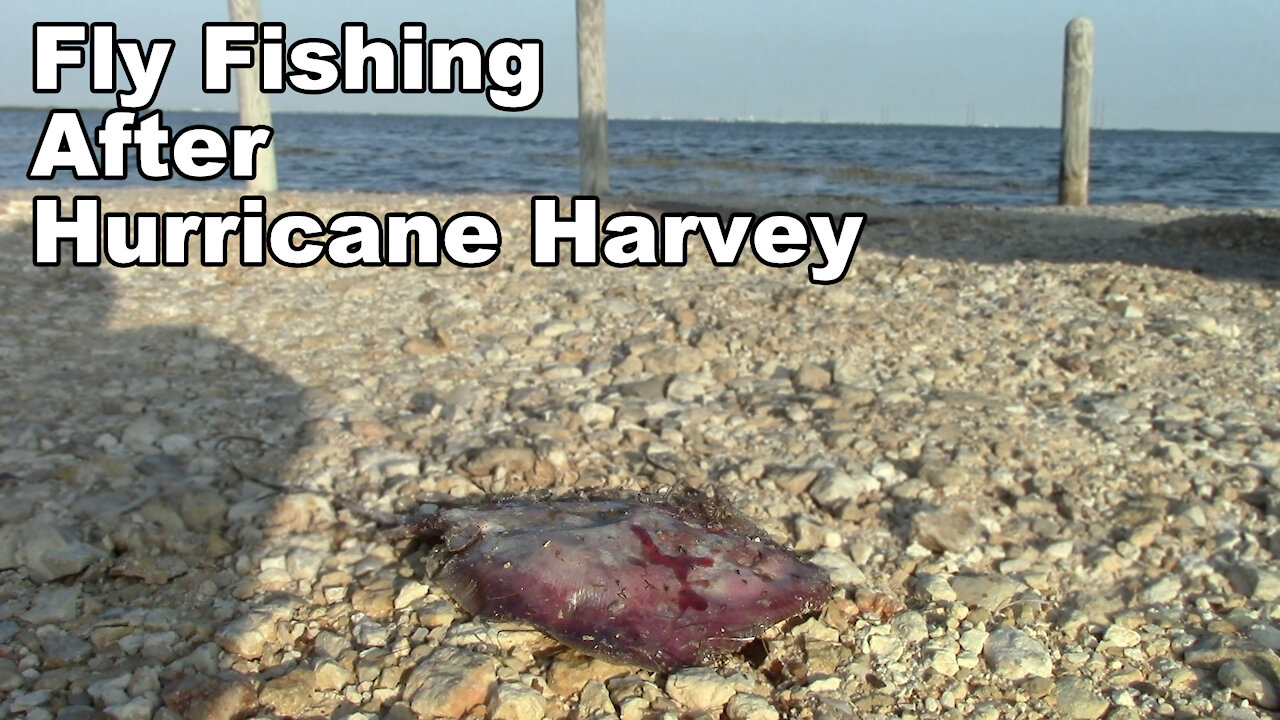 Fishing after Hurricane Harvey! - Gulf of Mexico in Texas - McFly Angler Episode 34