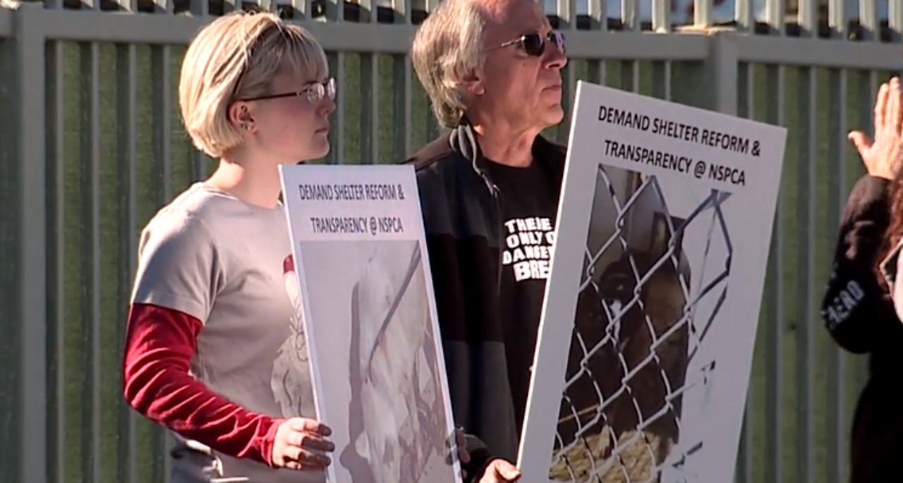 Protesters gather outside Nevada no-kill shelter