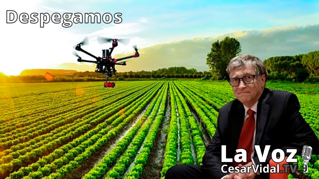 Despegamos: Sin rescate hasta primavera, renta básica en EEUU y negocios agrícolas de Gates