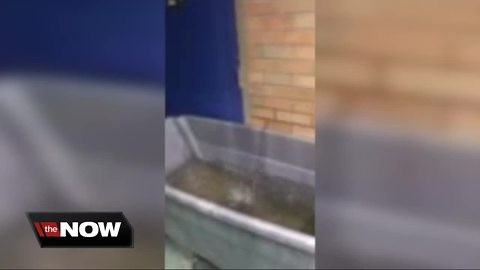Leaky roof at Detroit school