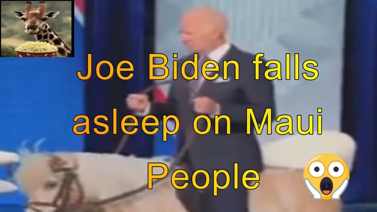 Joe Biden falls asleep on Maui People