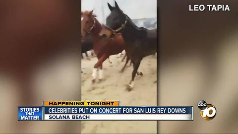 Benefit held for San Luis Rey after Lilac Fire