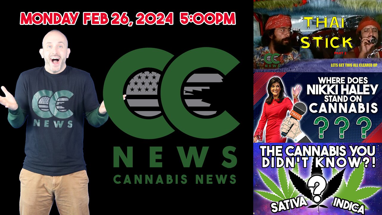 Cannabis News Update – Thai Sticks - Part 2, Candidates Stand on MJ , and Cannabis Ruderalis