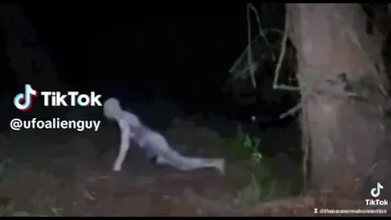 What are your thoughts 🤔