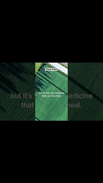 The truth can be a bitter pill #shorts #facts #trueline