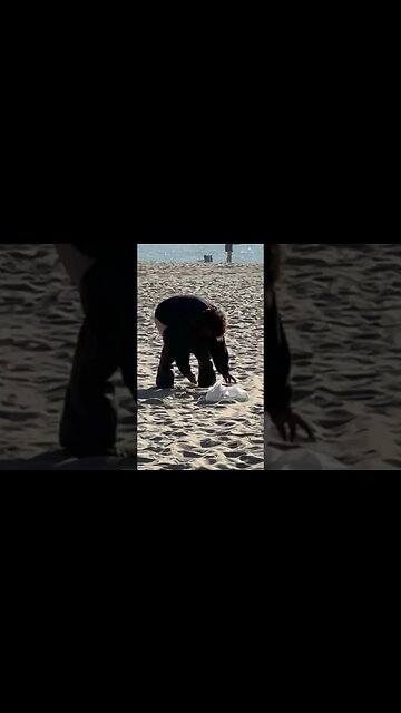 Taking a dump in the sand in front of children and many tourists is now the norm.