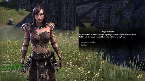 Elder Scrolls Online: Following Torchbugs thru the Woods!