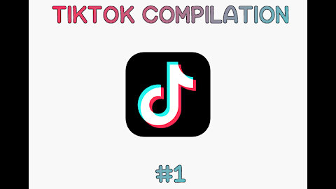 Ludicrous TikTok Compilation #1