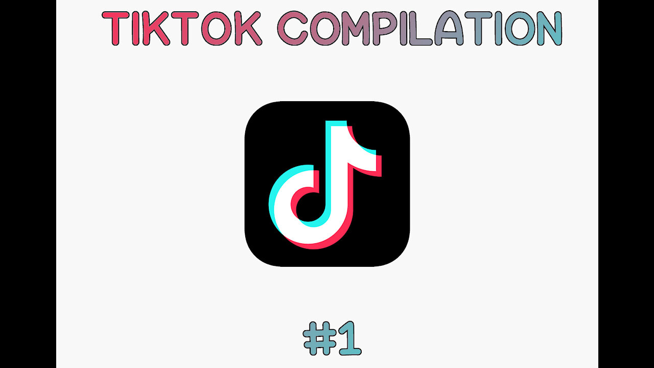 Ludicrous TikTok Compilation #1