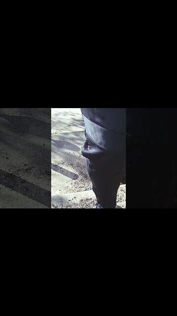 New Amazon Delivery Person Being Trained #Shorts 📹