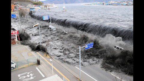 Tsunami Hooked Life In Japan