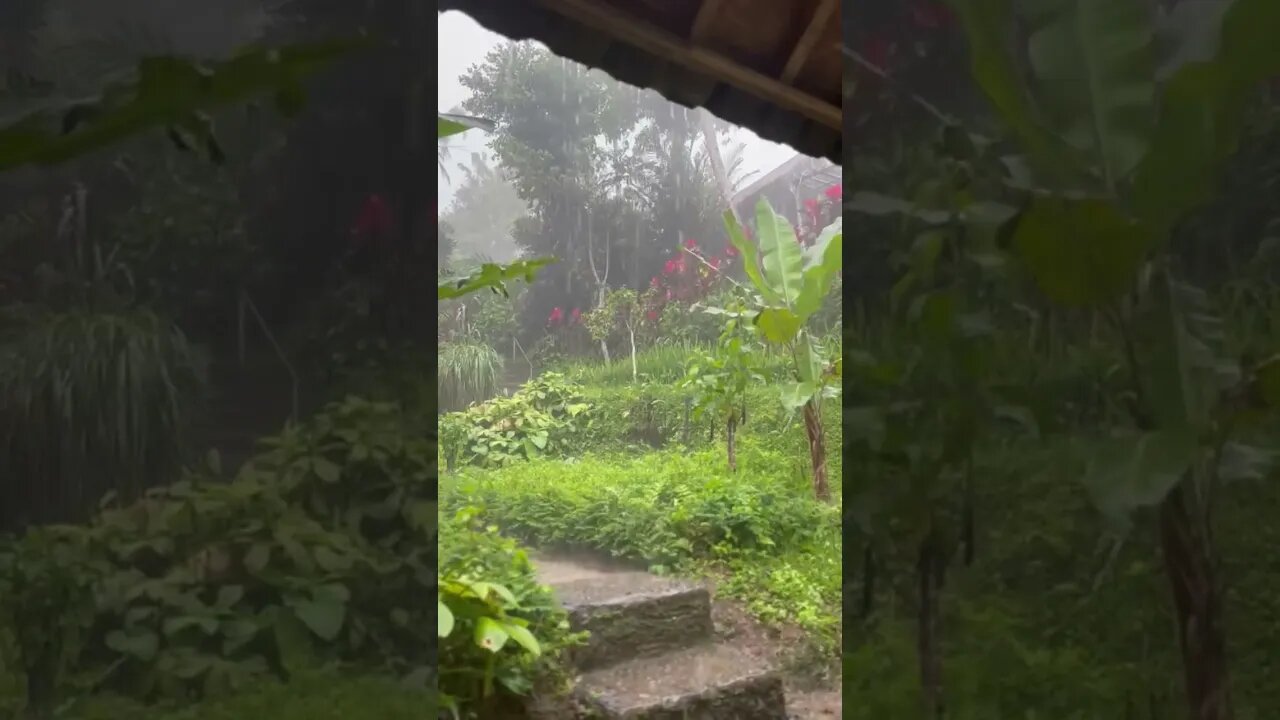 Rain sounds from Bali for sleepingš¤