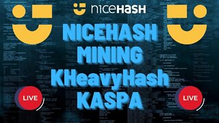 KASPA Mining on NICEHASH 🔥LIVE🔥 #crypto #gpumining #kaspa