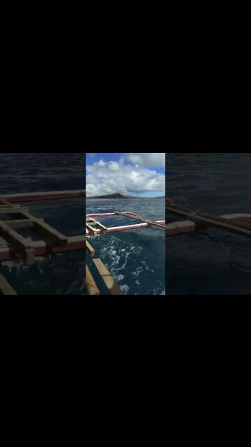 I'm back! #shorts #woodwork #sea #wood #lloydabrenica #weekendwarrior #shorts