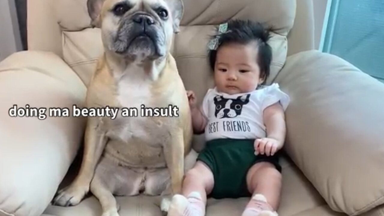 Baby friendship with puppy