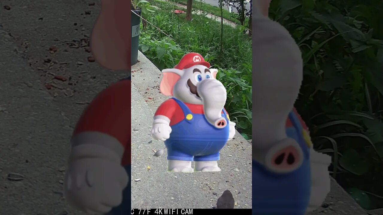 Elephant Mario Visits! 🐘