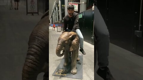 KULOSA Ft Elephant