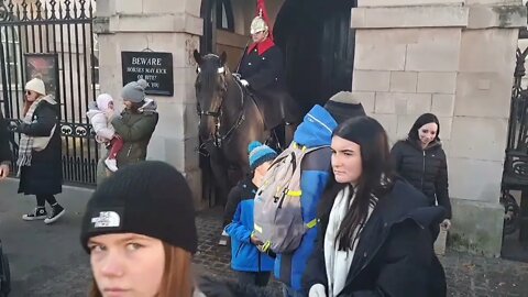 the horse bites the jokers big gold nose #horseguardsparade