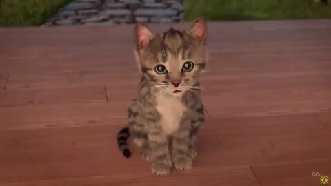 Little Kitten My Favorite Cat Pet Care - Play Cute Kitten Video Games For Children