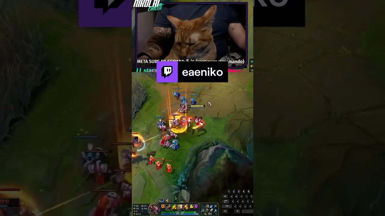 CAT STREAMER? MAIN GP LOL | eaeniko on #Twitch #cat #leagueoflegends #ganplank