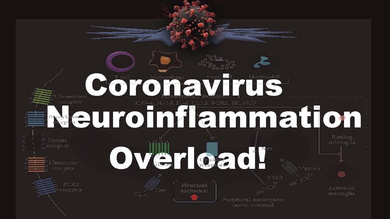 Coronavirus Neuroinflammation Overload