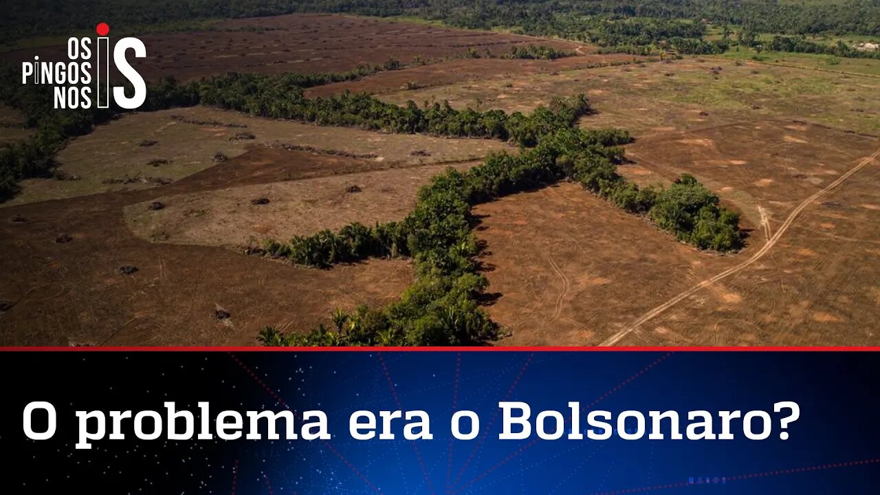 Desmatamento da Amazônia bate recorde histórico no mês de fevereiro