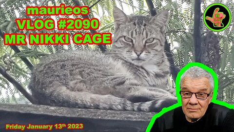 maurieos VLOG #2090 MR NIKKI CAGE