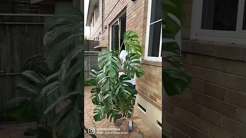 You have no idea how excited I am to be able to take all my plants outside to water them now !!