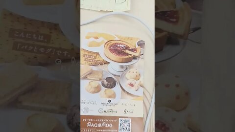 #etsukojunio #etsukofans #fransiscaofficial #teamfransisca #沉连清 #fransisca #fransiscametaworld